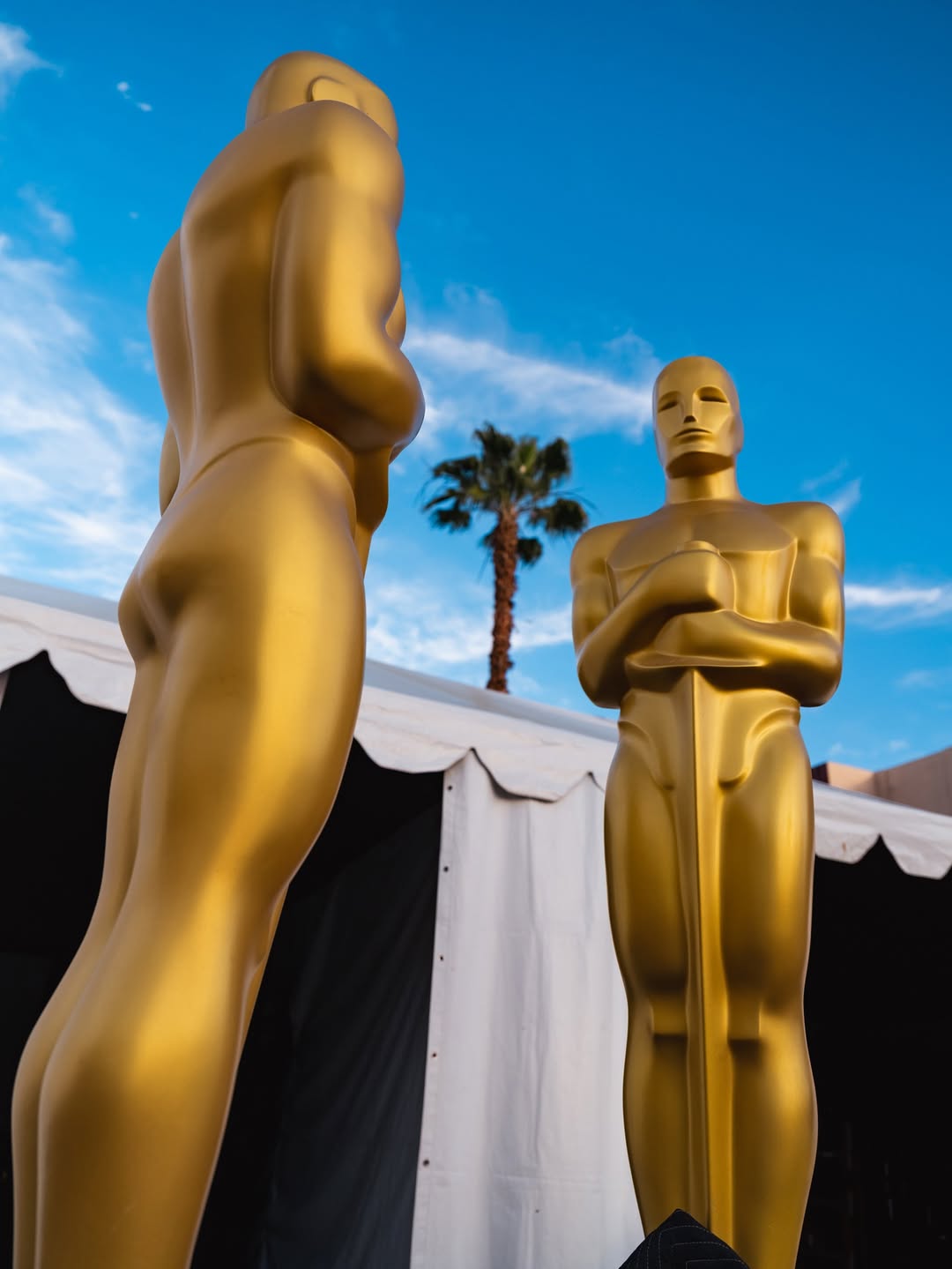 Oscar 2026; Brasil no Oscar 2026