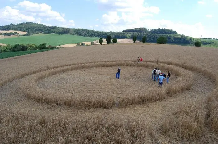 Agroglifo em uma plantação de trigo em formato de círculo com algumas pessoas analisando