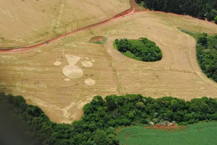 Agroglifo em um terreno grande de plantação em Ipuaçu - Santa Catarina em formato de círculo e triângulo